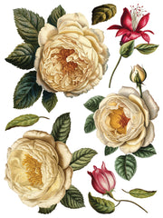 Collage de Fleurs - IOD Transfers - (8) 12x16 sheets