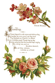 Lover of Flowers - IOD Transfers - (8) 8x12 sheets