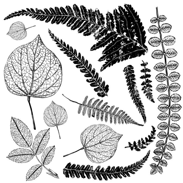 Fronds - IOD Stamps - 12x12 sheet