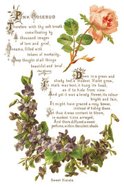 Lover of Flowers - IOD Transfers - (8) 8x12 sheets