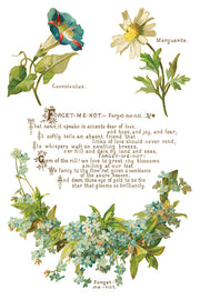 Lover of Flowers - IOD Transfers - (8) 8x12 sheets