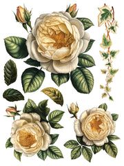 Collage de Fleurs - IOD Transfers - (8) 12x16 sheets