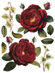 Collage de Fleurs - IOD Transfers - (8) 12x16 sheets