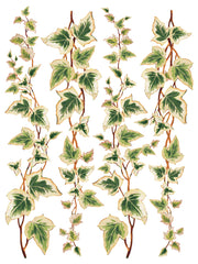 Collage de Fleurs - IOD Transfers - (8) 12x16 sheets