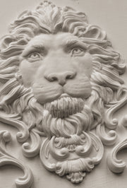Leonidas - IOD Moulds - 5x7