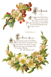 Lover of Flowers - IOD Transfers - (8) 8x12 sheets