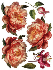 Collage de Fleurs - IOD Transfers - (8) 12x16 sheets