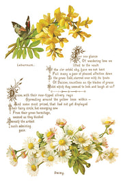 Lover of Flowers - IOD Transfers - (8) 8x12 sheets
