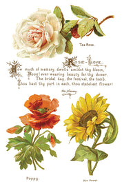 Lover of Flowers - IOD Transfers - (8) 8x12 sheets