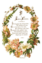 Lover of Flowers - IOD Transfers - (8) 8x12 sheets