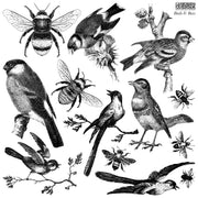 IOD stamps - Birds & Bees 12x12