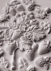 Wild Berries - IOD Moulds - 6 x 10