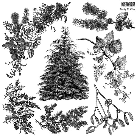 Holly & Pine - IOD Stamps - 12x12 sheet