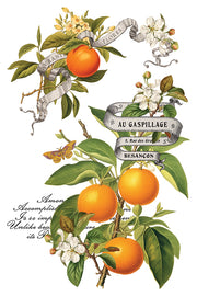 Clementine - IOD Transfers - (8) 8x12