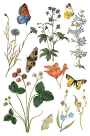 Wilde Bloemen - IOD Transfers - (8) 8 x 12 sheets