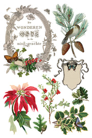 Winter Botanist - IOD Transfer - (8) 8x12 pages