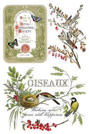Winter Botanist - IOD Transfer - (8) 8x12 pages
