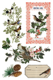 Winter Botanist - IOD Transfer - (8) 8x12 pages
