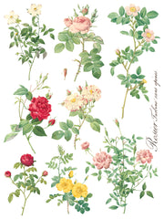 Rose Botanical - IOD Transfer (8) 12 x 16 sheets