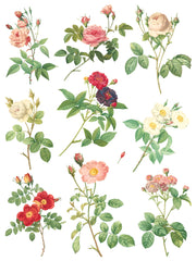 Rose Botanical - IOD Transfer (8) 12 x 16 sheets