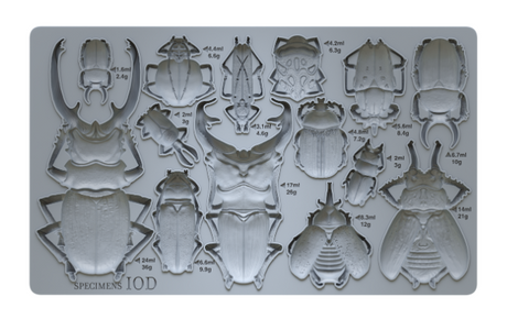 Specimens - IOD Decor Moulds - 6x10