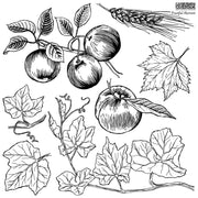 Fruitful Harvest - IOD Stamps - 12x12 sheet *Retired*