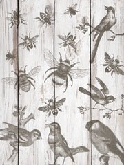 IOD stamps - Birds & Bees 12x12