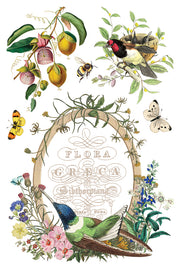 Flora Greca - IOD Transfer - (8) 8 x 12 pages