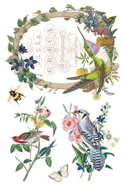 Flora Greca - IOD Transfer - (8) 8 x 12 pages
