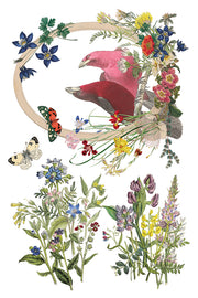 Flora Greca - IOD Transfer - (8) 8 x 12 pages