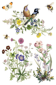 Flora Greca - IOD Transfer - (8) 8 x 12 pages