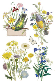 Flora Greca - IOD Transfer - (8) 8 x 12 pages