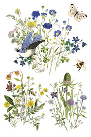 Flora Greca - IOD Transfer - (8) 8 x 12 pages