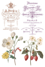 St. Ouen - IOD Transfer - (8) 8 x 12 pages